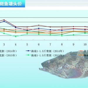 ʯ���~������y�� �r����y��̧�^������ˮ�a(ch��n)ǰ�ء�2015��12�¿��Ј�څ��