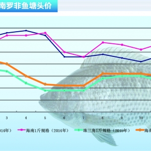 �_���~�������»� �~�r�y����ɫ������ˮ�aǰ�ء�2016��1�¿��Ј�څ��