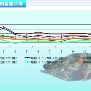 ʯ���~��Ҏ���~�r�񿴝q �����~�r�����f���ԡ�����ˮ�aǰ�ء�2016��1�¿��Ј�څ��