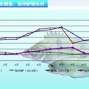 �����|�����~������ �r���µ�������ˮ�aǰ�ء�2016��1�¿��Ј�څ��