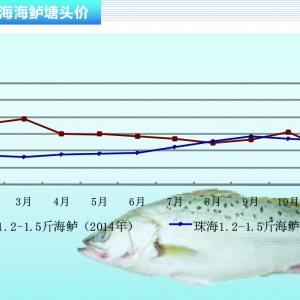 ���|�����w���������� �r�������ϝq������ˮ�aǰ�ء�2016��1�¿��Ј�څ��