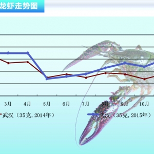 С���r����������½� �r�񼱄��ϝq������ˮ�aǰ�ء�2016��1�¿��Ј�څ��