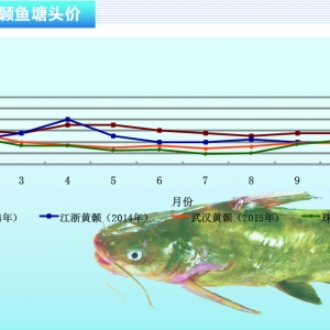 �S��~�����Mƣܛ ����q�r�^�y������ˮ�aǰ�ء�2016��1�¿��Ј�څ��