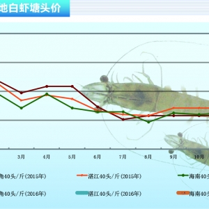 ���r���������� �r�r����ϝq������ˮ�aǰ�ء�2016��2�¿��Ј�څ��