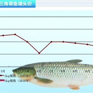 ���~���������u�� 2���~�r����������������ˮ�aǰ�ء�2016��2�¿��Ј�څ��