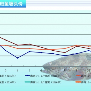 ʯ���~�������������M���� �~�r�_����������������ˮ�aǰ�ء�2016��2�¿��Ј�څ��