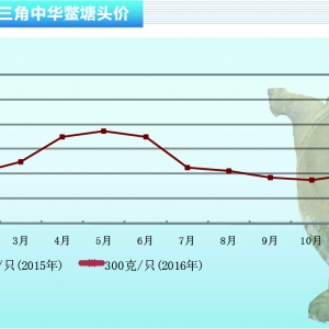 ���~���r������ƽ�� ���������g������ˮ�aǰ�ء�2016��2�¿��Ј�څ��