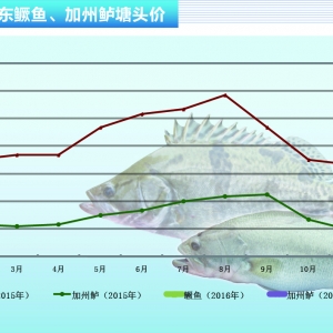 �Z�~���~�rƽ���ϝq������ˮ�aǰ�ء�2016��2�¿��Ј�څ��