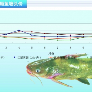 �S��~����؛��ͨ �����mů������ˮ�aǰ�ء�2015��12�¿��Ј�څ��