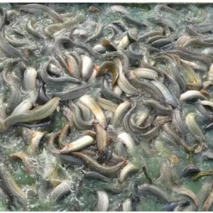 2016���_�����q�V�|���ᣬ�o�Bֳ�ߵ�7�c���h