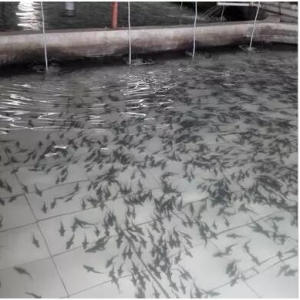 �\�~��ӏ��ƏV�������N���y��ͻ��