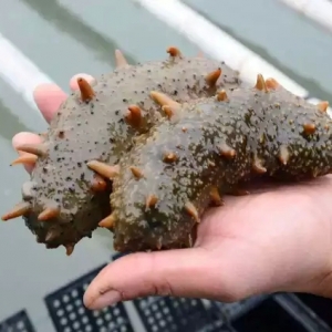 ϼ�ֺ���Ԫ������,�r���cȥ���ƽ