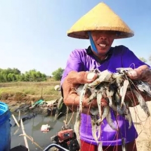 �㲻�ǲ���(hu��)�B(y��ng)�r�����ǲ������D(zhu��n)�@�l�r