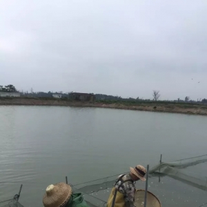 ُ�Nָ�� | ��Ͷ�_ʼ���ܳ��ڽ��ܵ��_����I���@��į