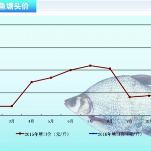 ���~���ɽ���ƽ��(w��n) ���ڃr����ϝq ������ˮ�aǰ�ء�2016��3�¿��Ј�څ��