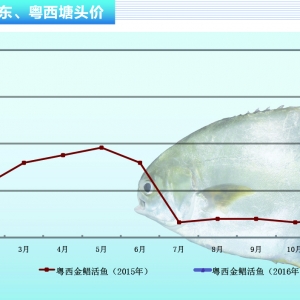 ���K����ƷҎ������� �~�r���ϝq���g ������ˮ�aǰ�ء�2016��3�¿��Ј�څ��