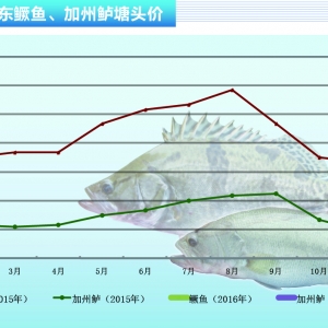 �����|���r��򌢳��m�ߵ͡�����ˮ�aǰ�ء�2016��3�¿��Ј�څ��