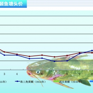 �S��~��3���~�r��С���ϝq ������ˮ�aǰ�ء�2016��3�¿��Ј�څ��