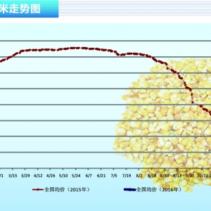 ���ף������N�����߳��_ ������������ ������ˮ�aǰ�ء�2016��3�¿��Ј�څ��