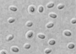 �����r���c���x ���Kʡ���ֵ������r��z�����_��21.2%