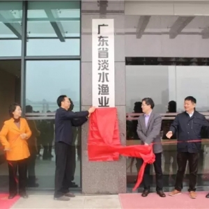 �V�|ʡʡ�ٝO�I�����о��C�����Ƴ���