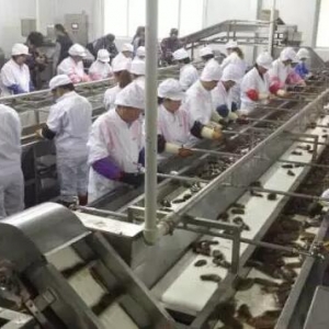 ��(x��)��(sh��)ϼ�ֺ����a(ch��n)�I(y��)���^���еġ�������ɽ������һ����(j��ng)�v�^��