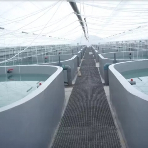 ������đ���S��ѭ�h(hu��n)ˮ�B(y��ng)ֳ��Ч���@��