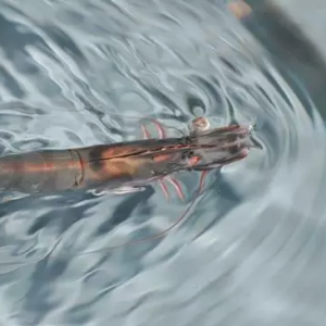 ������y������ʲô�r(sh��)����ܹ�������