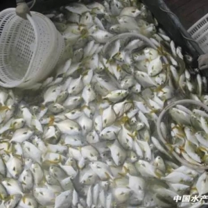 �V�������Fɽ�۽��K�~�Bֳ�I�����A֮��Σ�C����