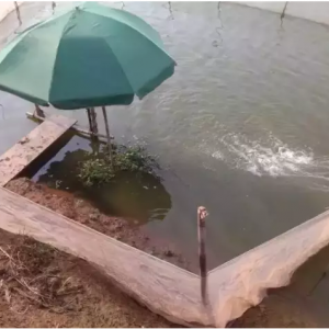 ���~"��֥��"�v��(j��ng)�D�U(xi��n)�޳ɾų���