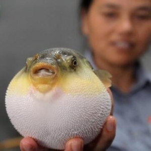 26����������t���|�����Ͱ��y�|������ȫ���_��