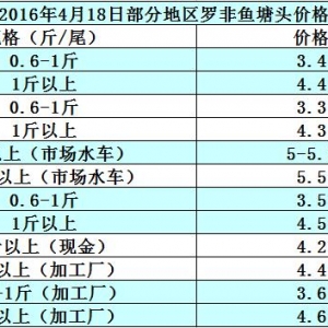 �_���~�r���܈󣺶�����N�oȱ  �~�r���rڅ��