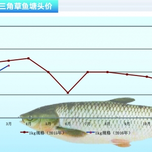 ���~����N�oȱ ��������D���ܡ�����ˮ�aǰ�ء�2016��4�¿��Ј�څ��