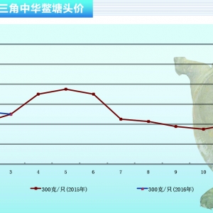 ���~���N·�����r���»��͹��٬F������ˮ�aǰ�ء�2016��4�¿��Ј�څ��