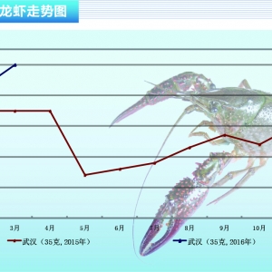 С���r����Ҏ���r�� �r��ͬ�������� ������ˮ�aǰ�ء�2016��4�¿��Ј�څ��