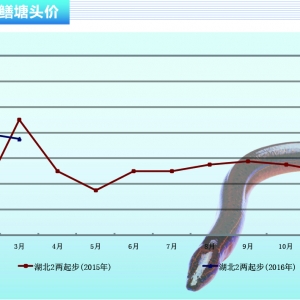 �S�X���r(ji��)���wƽ��(w��n) ������̽��څ�ݡ�����ˮ�a(ch��n)ǰ�ء�2016��4�¿��Ј�څ��