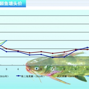 �S��~��ȫ���Ј�����e�r�񱩝q������ˮ�aǰ�ء�2016��4�¿��Ј�څ��