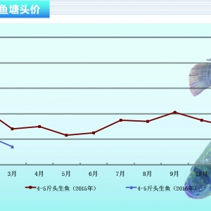 ���~����ُ(g��u)����p �V�|�r(ji��)��څ���»� ������ˮ�a(ch��n)ǰ�ء�2016��4�¿��Ј�(ch��ng)څ��(sh��)