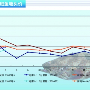 ʯ���~���r(ji��)����m(x��)���� �Ј��r(ji��)���y����ɫ������ˮ�a(ch��n)ǰ�ء�2016��4�¿��Ј�څ��