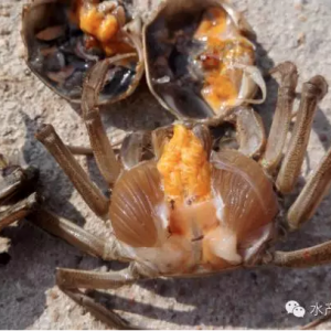 �м����ȣ�������ҵ��з���K�����᣿�������ڸ���DƬ���V��