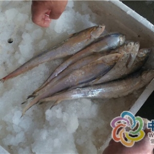 ��r�L�����~���l�rҪ7000Ԫһ��