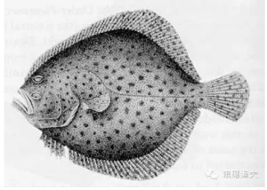 �Ї������~vsŲ�������~��ԭ���m���Ї������~�lչ�����@һ�l��·