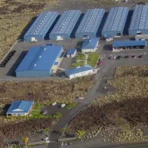 ��Ҽ���M����SPF�߹����r�������­h����ˮ�a�Bֳ�ęC��