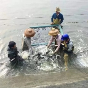 ʯ���~�r��һֱ���ܡ����������л���m��λ�\��