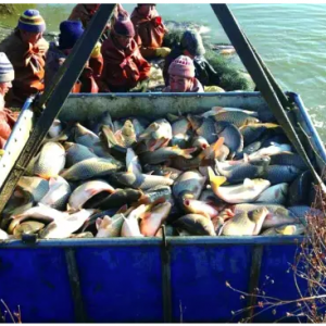 �H�H��Ͷι�������{�����Ϳ���׌���~�Bֳ�������ٿs��20%����