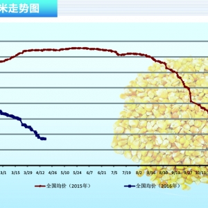 ���ף������Q����Z���� �Ј��ȴ�������ء�����ˮ�aǰ�ء�2016��5�¿��Ј�څ��