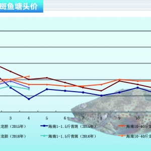 ʯ���~�����~�r(ji��)����m(x��)���� ��N������(y��ng)�󡪡���ˮ�a(ch��n)ǰ�ء�2016��5�¿��Ј�څ��