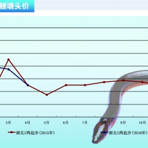 �S�X��С�X�~�r(ji��)��� Ҏ(gu��)���X�~�r(ji��)��(w��n)��������ˮ�a(ch��n)ǰ�ء�2016��5�¿��Ј�څ��