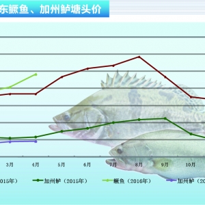 �Z�~���r�����ϝq������ˮ�aǰ�ء�2016��5�¿��Ј�څ��