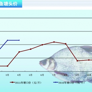 ���~���K�ϳ����������� �r����m(x��)��λ������ˮ�aǰ�ء�2016��5�¿��Ј�څ��